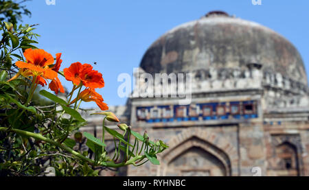 New Delhi. 14 Mär, 2019. Foto am 14. März 2019 zeigt Blumen in Lodi Garten im Frühling kommt in Neu Delhi, Indien. Credit: Zhang Naijie/Xinhua/Alamy leben Nachrichten Stockfoto