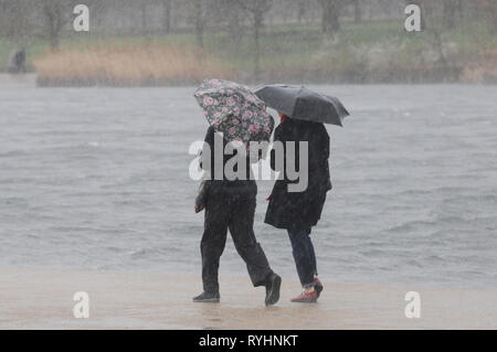 London, Großbritannien. 14 Mär, 2019. Wind und Regen im Hyde Park Credit: JOHNNY ARMSTEAD/Alamy leben Nachrichten Stockfoto