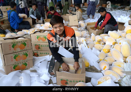 (190313) - RUILI, 13. März 2019 (Xinhua) - ein Arbeiter aus Myanmar Transporte Melonen auf einem Markt in der Nähe von Wanding port in Ruili Stadt, im Südwesten der chinesischen Provinz Yunnan, 8. März 2019. Ruili, einer Stadt an der Grenze China-Myanmar, ist ein wichtiges Land Hafen im Südwesten Chinas. Eine berühmte chinesische Song namens 'Es ist ein schöner Ort" beschreibt die Schönheit der Stadt, mit seiner einzigartigen Landschaft und bunte Folklore. In 2010, Ruili wurde als nationale Öffnung pilot Zone, die Öffnung der gegenseitig vorteilhaften Zusammenarbeit zwischen China und Myanmar und erleichtert steigert aufgeführt. In Stockfoto