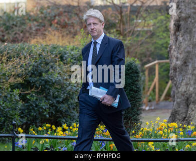 London, Großbritannien. 14. Mär 2019. Jo Johnson MP kommt an 10 Downing Street, London Quelle: Ian Davidson/Alamy leben Nachrichten Stockfoto