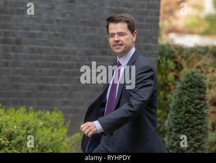 London, Großbritannien. 14. Mär 2019. James Brokenshire, MP PC, Gemeinschaften Sekretär, kommt an einer Kabinettssitzung am 10 Downing Street, London Quelle: Ian Davidson/Alamy leben Nachrichten Stockfoto