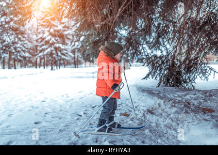 Kleinen Jungen 3-5 Jahre, im Park im Winter auf Skiern für Kinder. Es im vollen Wachstum unter dem grünen Baum steht im Schnee, die ersten Schritte im Sport, frei Stockfoto