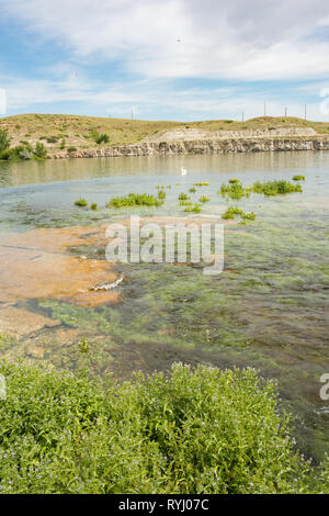 Bewölkten Tag bei Giant Springs State Park in Great Falls, Montana. Stockfoto