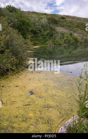 Bewölkten Tag bei Giant Springs State Park in Great Falls, Montana. Stockfoto