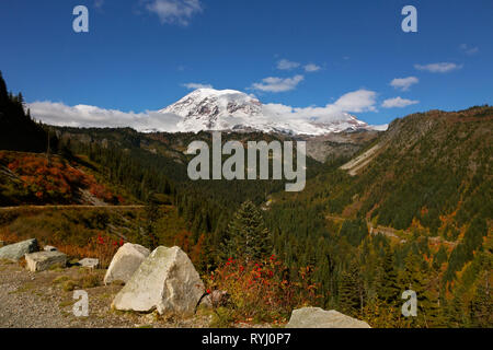 WA 15946-00 ... WASHINGTON - Herbst Farbe in Stevens Canyon von Stevens Canyon Bend pullout und Mount Rainier, Mount Rainier National Park. Stockfoto