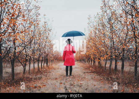 Frau im roten Mantel und mit Regenschirm zwischen Bäumen in Apple Garten im Herbst. Minimalismus, Reisen, Natur Konzept. Stockfoto