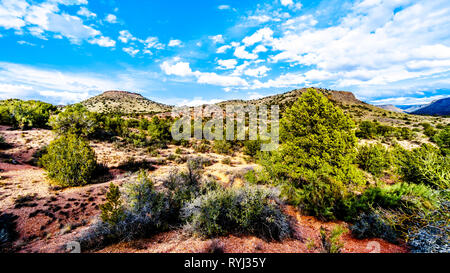 Die Berge mit abwechslungsreichen Vegetation im Red Rock Country am Beaverhead Wohnungen Straße in der Nähe des Oak Creek im Northern Arizona Stockfoto