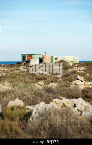 Große Ratte Insel Houtman Abrolhos. Die Houtman Abrolhos Inseln liegen 60 Kilometer vor der Küste von Geraldton in Western Australia. Es gibt 122 pristi Stockfoto