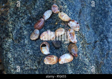 Darstellung einer Schnecke an seinem Haus. Es gibt keinen Ort, wie zwei Wohnungen. Stockfoto