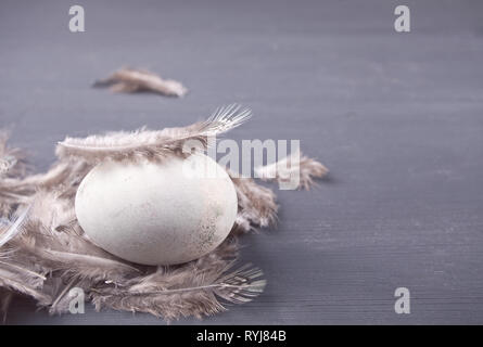 Easter Egg auf dem Tisch mit Feder Stockfoto
