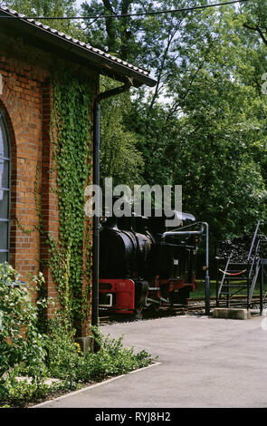 Transport/Verkehr, Eisenbahn, Schmalspur- dampflok vor dem Lokschuppen im Deutschen Museum der Dampflok in Neuenmarkt - Wirsberg, Additional-Rights - Clearance-Info - Not-Available Stockfoto