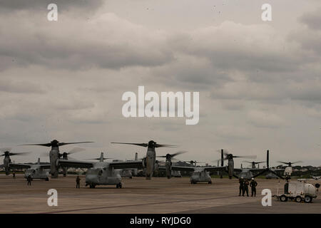 B MV-22 Osprey tiltrotor Flugzeugen Marine Medium Tiltrotor Squadron 262 (Verstärkt) im Leerlauf, bevor für Flug auf dem Flug Linie an der Marine Corps Air Station Futenma, Okinawa, Japan, 11. März 2019. VMM-262 (Rein) ist die Aviation Combat Element für die 31 Marine Expeditionary Unit. Marines mit dem 31 MEU sind die Durchführung von simulierten EABO in einer Reihe von dynamisches Training Veranstaltungen auf ihre Fähigkeit zu planen, zu üben verfeinern und eine Vielzahl von Missionen abzuschließen. Während des EABO, den 31 MEU mit dem 3Rd Marine Division zusammengeschlossen, 3. Marine Logistics Group und 1. Marine Flugzeugflügel, und Fliegern w Stockfoto