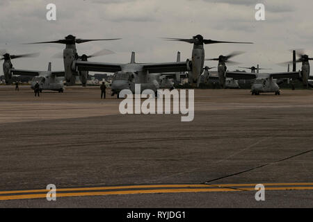 B MV-22 Osprey tiltrotor Flugzeugen Marine Medium Tiltrotor Squadron 262 (Verstärkt) im Leerlauf, bevor für Flug auf dem Flug Linie an der Marine Corps Air Station Futenma, Okinawa, Japan, 11. März 2019. VMM-262 (Rein) ist die Aviation Combat Element für die 31 Marine Expeditionary Unit. Marines mit dem 31 MEU sind die Durchführung von simulierten EABO in einer Reihe von dynamisches Training Veranstaltungen auf ihre Fähigkeit zu planen, zu üben verfeinern und eine Vielzahl von Missionen abzuschließen. Während des EABO, den 31 MEU mit dem 3Rd Marine Division zusammengeschlossen, 3. Marine Logistics Group und 1. Marine Flugzeugflügel, und Fliegern w Stockfoto