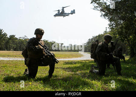 Marines mit Charlie Company, Bataillon Landung Team, 1.BATAILLON, 4 Marines, halten Sicherheit Positionen während einer Live-Feuer Bereich als Teil des 31 Marine Expeditionary Unit simulierten Expeditionary Advanced Base Camp, Schwab, Okinawa, Japan, 13. März 2019. Marines mit dem 31 MEU sind die Durchführung von simulierten EABO in einer Reihe von dynamisches Training Veranstaltungen auf ihre Fähigkeit zu planen, zu üben verfeinern und eine Vielzahl von Missionen abzuschließen. Während des EABO, den 31 MEU mit dem 3Rd Marine Division zusammengeschlossen, 3. Marine Logistics Group und 1. Marine Flugzeugflügel, und Flieger mit der U.S. Air F Stockfoto