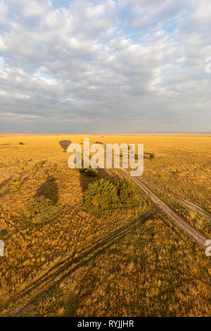 Ballonfahrt über der Masai Mara und der Plains, Kenia Afrika Stockfoto