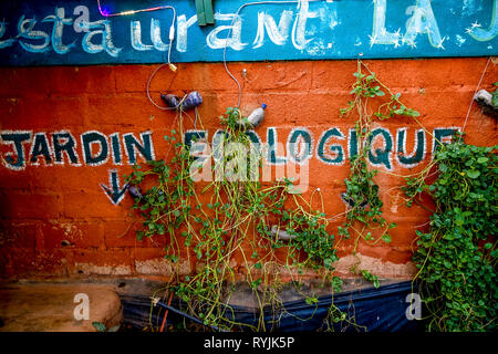 ICCV Nazemse NGO in Ouagadougou, Burkina Faso. Umweltfreundliche Garten. Stockfoto