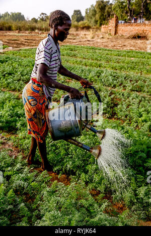 Frau Bewässerung ein Gemüsegarten in Loumbila, Burkina Faso. Stockfoto