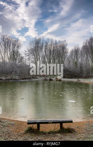 Ein frostiger Morgen in Pickering Millennium Teich Stockfoto