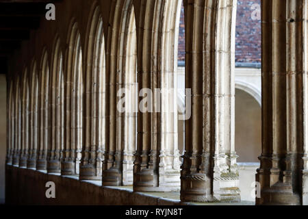 Das königliche Kloster von Brou. Der Kreuzgang (Gotik). Bourg-en-Bresse. Frankreich. Stockfoto