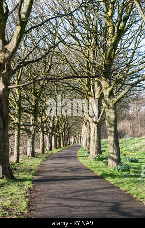 Um GROSSBRITANNIEN - ein Blick entlang des Flusses in Avenham Park, Preston Stockfoto