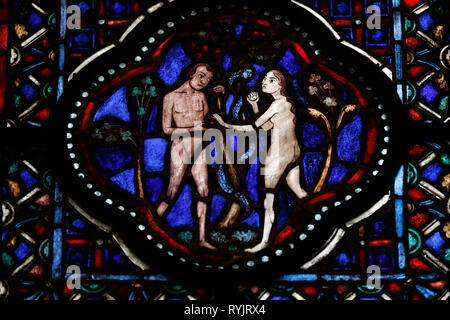 Nidarosdom. Glasfenster. Der Garten Eden. Adam, Eva und die Schlange (nahas). Trondheim. Norwegen. Stockfoto