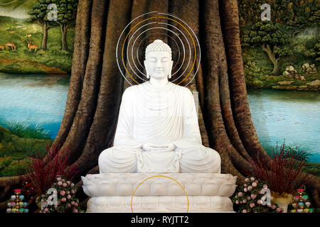 Van Linh buddhistischen Pagode. Das Leben des Buddha, Siddhartha Gautama. Die Erleuchtung des Buddha. Eine Hao. Vietnam. Stockfoto