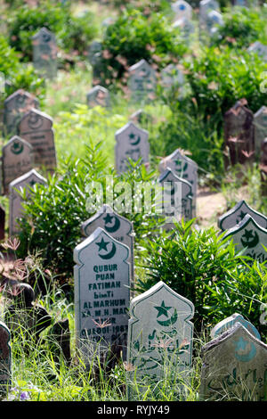 Mubarak Moschee. Alte cham muslimischen Friedhof. Chau Doc Vietnam. Stockfoto