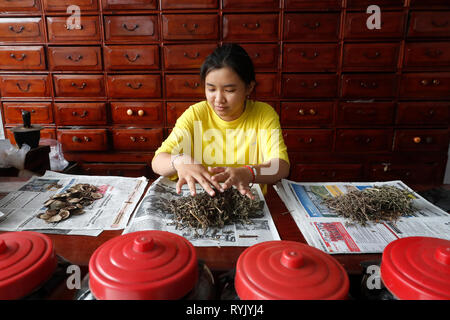 Frau in einer traditionellen chinesischen Apotheke arbeiten. Ha Tien. Vietnam. Stockfoto