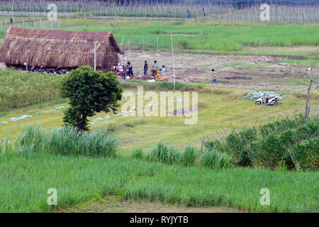 Vietnamesische Farm. Cu Chi. Vietnam. Stockfoto