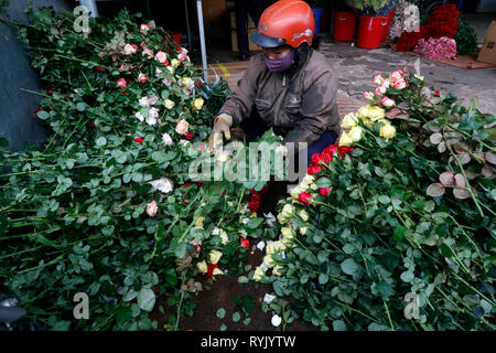 Frau in eine Blume Fabrik arbeiten. Dalat. Vietnam. Stockfoto