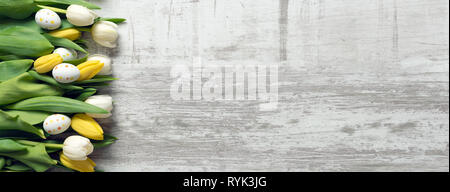 Ostern und Frühling Blumen Hintergrund. Ansicht von oben mit der Kopie. Stockfoto