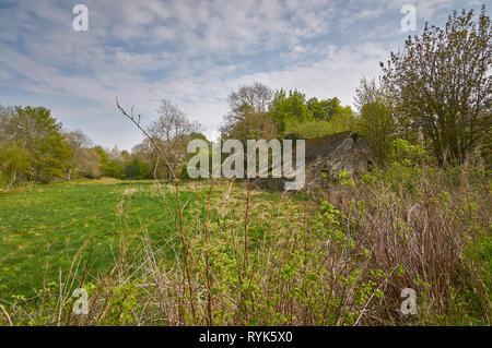 Eine alte verlassene Farm Cottage an Mildens, Guthrie nahe Forfar in Angus, mit seinem Dach ausgesetzt sitzt in einem kleinen überwachsen Weide. Schottland. Stockfoto