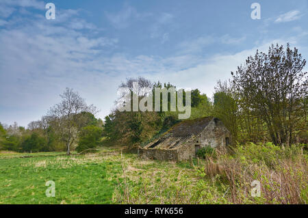 Ein verfallenes Steinhaus sitzt in seiner Weide in einem kleinen Tal in der Nähe von Mildens, Guthrie, Schottland, auf einer hellen Frühling, mit seinen freiliegenden Dach Tim Stockfoto