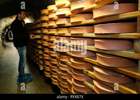 Handwerkliche Beaufort Käse in der Veredelung in einem traditionellen Weinkeller. Rognaix. Frankreich. Stockfoto