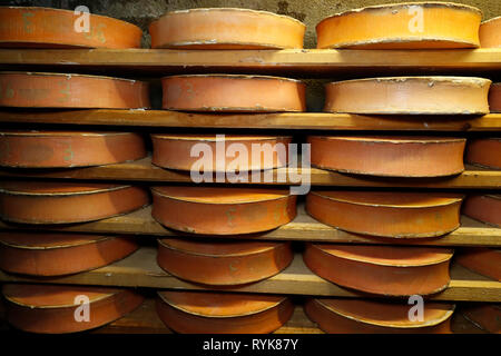 Handwerkliche Beaufort Käse in der Veredelung in einem traditionellen Weinkeller. Rognaix. Frankreich. Stockfoto