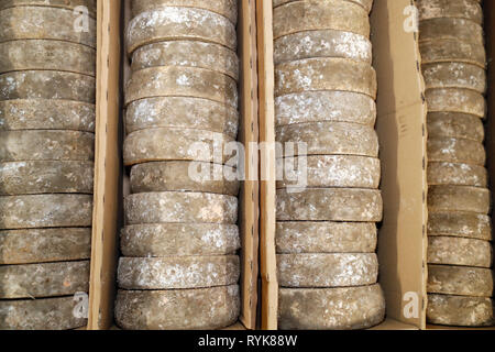 Handwerkliche Tomme in der Veredelung in einem traditionellen Weinkeller. Rognaix. Frankreich. Stockfoto