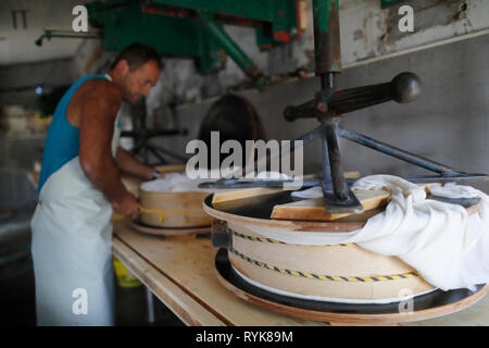 Die französischen Alpen. Handwerkliche Beaufort Käse Werk. Die verwendete Milch stammt aus der Tarine Kühe, die in der hohen Weiden grasen. Die Taste drücken. Peisey Nancroix Stockfoto