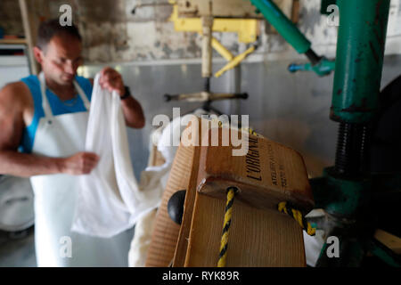 Die französischen Alpen. Handwerkliche Beaufort Käse Werk. Die verwendete Milch stammt aus der Tarine Kühe, die in der hohen Weiden grasen. Die Taste drücken. Peisey Nancroix Stockfoto