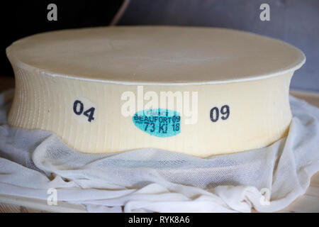 Die französischen Alpen. Handwerkliche Beaufort Käse Werk. Die verwendete Milch stammt aus der Tarine Kühe, die in der hohen Weiden grasen. Peisey Nancroix. Frankreich. Stockfoto