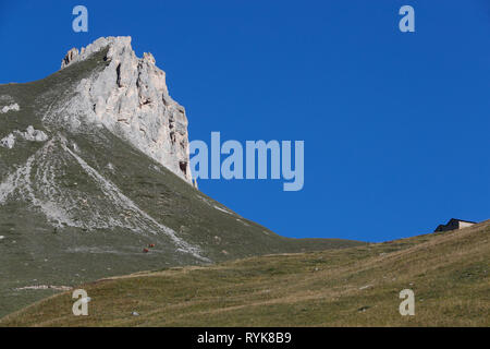 Die französischen Alpen. Beaufort Käse. Die verwendete Milch stammt aus der Tarine Kühe, die in der hohen Weiden grasen. Peisey Nancroix. Frankreich. Stockfoto