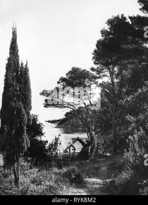 Geographie/reisen, Frankreich, Inseln, Iles d'Hyeres, Ile-de-Port-Cros, Blick zum Hafen Mann, 1956, Additional-Rights - Clearance-Info - Not-Available Stockfoto