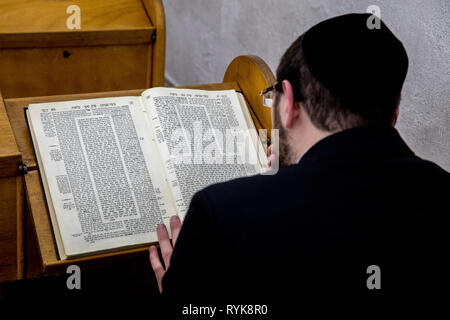 Ramban Synagoge, Jerusalem, Israel. Orthodoxer Jude Lesen des Talmud. Stockfoto