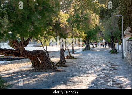 Pine Walk in Port de Pollenca, Mallorca, Spanien. Stockfoto