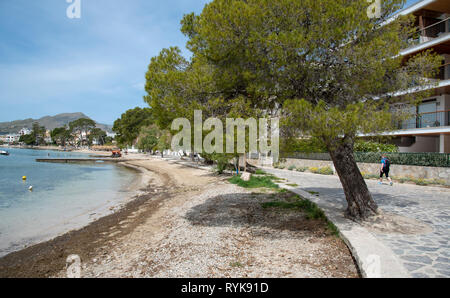 Pine Walk in Port de Pollenca, Mallorca, Spanien. Stockfoto