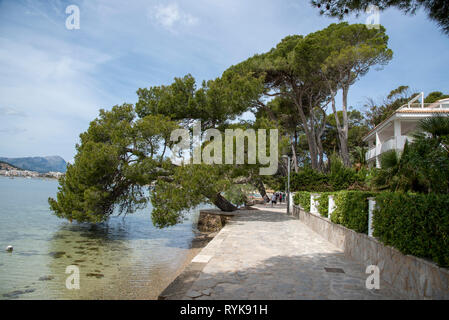 Pine Walk in Port de Pollenca, Mallorca, Spanien. Stockfoto