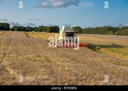 Abend die Kombination einer Ernte von Gerste in der Nähe von Lauder, Berwickshire, Scottish Borders. Stockfoto