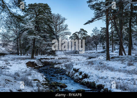 Marshaw Wyre im Schnee, Marshaw, über Wyresdale, Wald von Bowland, Lancashire. Stockfoto