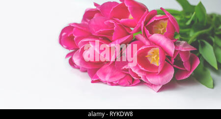Blumenstrauß aus rosa Tulpen vor einem hellen Hintergrund. Holiday Card Stockfoto
