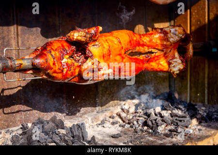 Schwein wird langsam vom Grill auf Spit in traditioneller Art, mit Holzkohle, fettes gebratenes Fleisch gekocht Stockfoto