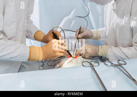 Chirurgen während der Operation Stockfoto